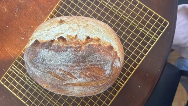 bread