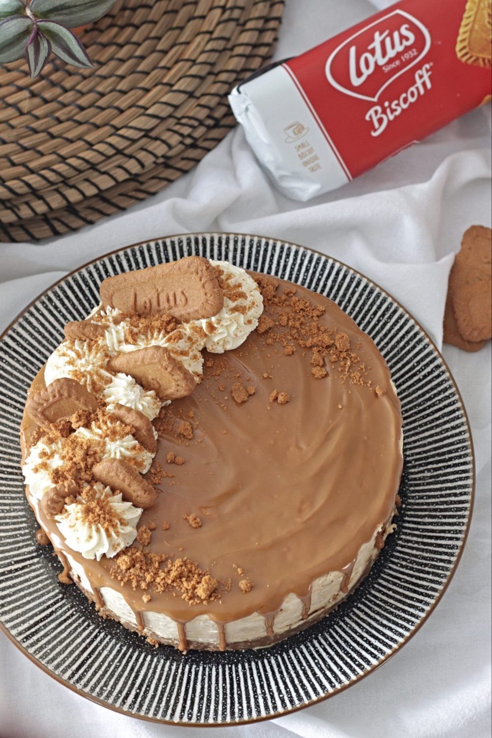 Cheesecake 10 inch